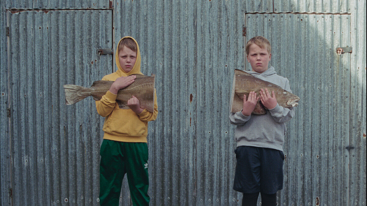 Stillbild 1